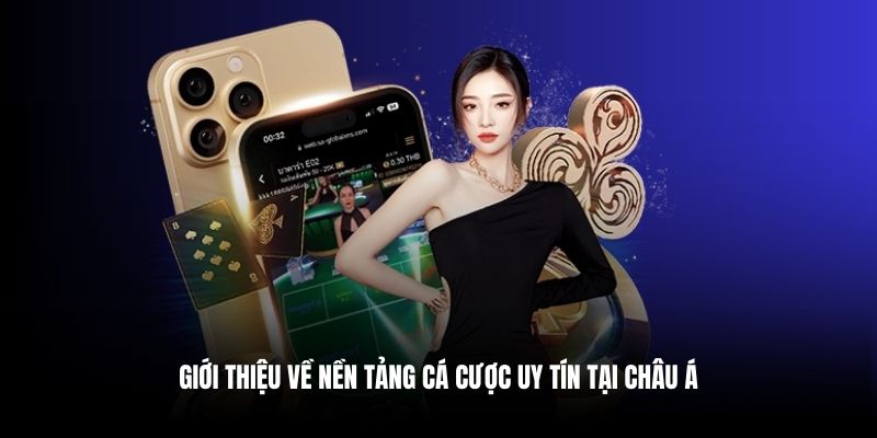 Giới thiệu về nền tảng cá cược uy tín tại châu Á